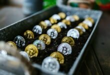 investing in stocks wisely
