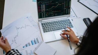top bear market stocks