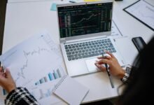 top stocks for bearish markets