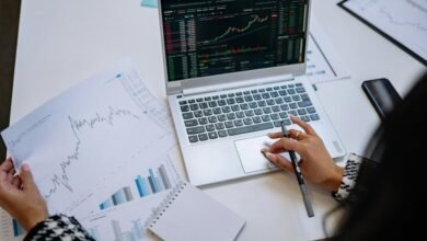top stocks for bearish markets