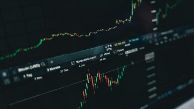 top stocks to watch