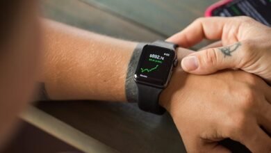 connectivity and routing insights