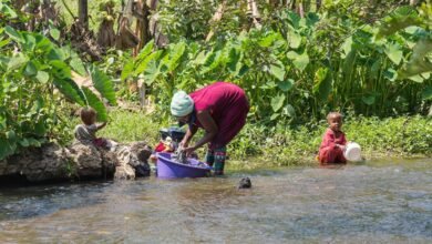 keveshelman interaction summary report