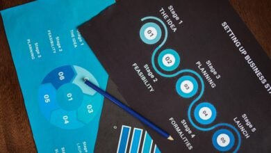 numeric data overview summary